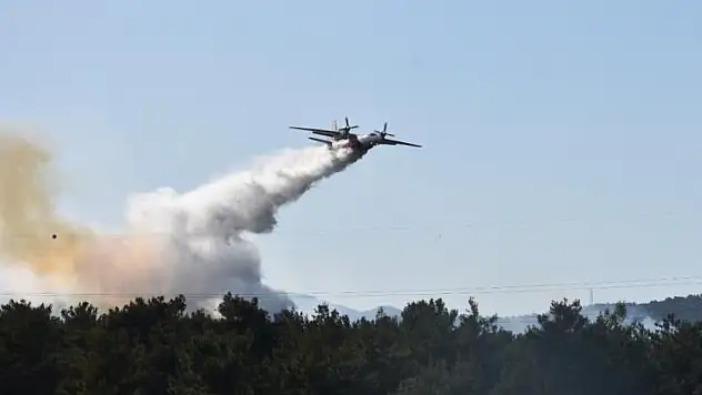 İzmir'de orman yangını kontrol altında