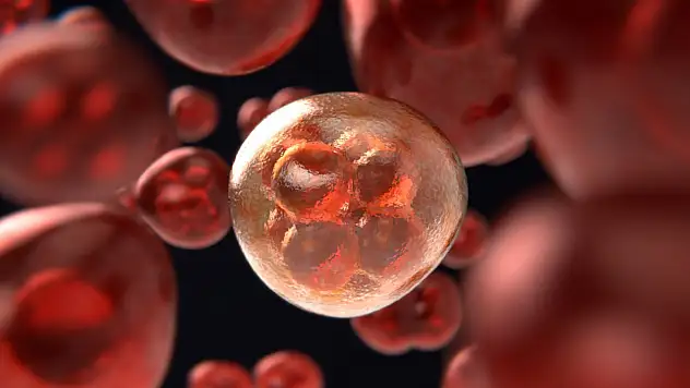 Kanser tedavisinde kişiye özel dönem