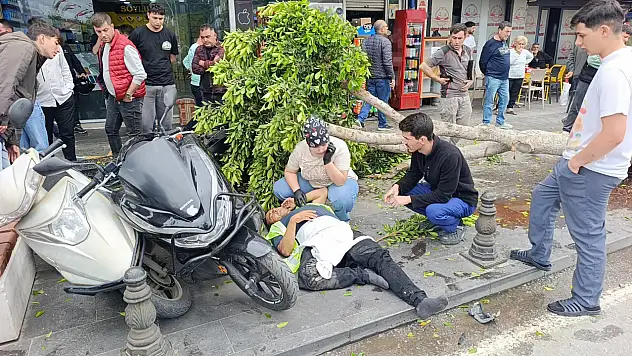 Kırmızı ışık ihlali faciaya sebep oluyordu: 1'i ağır 4 yaralı