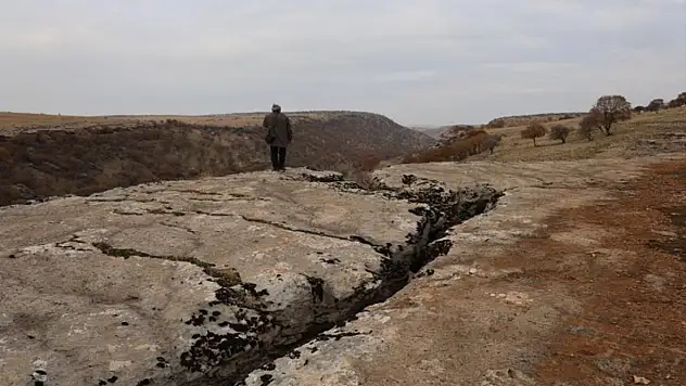 Tetis Denizi'nden kalan fosil hazinesi