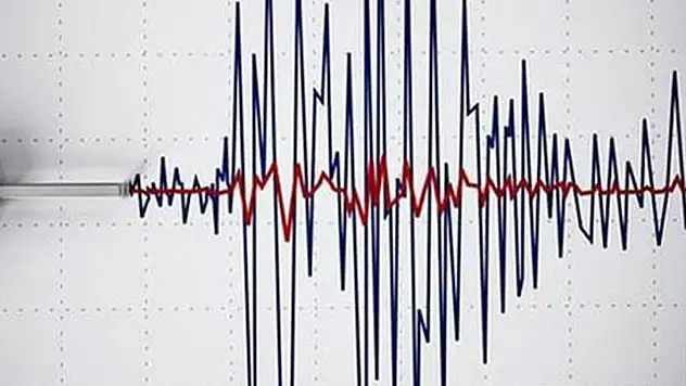 Van'da 4,6 büyüklüğünde deprem