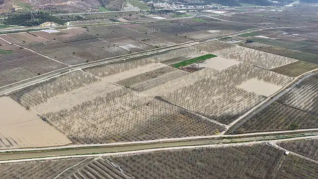 Yüzlerce dönüm şeftali ve armut bahçesi su altında kaldı