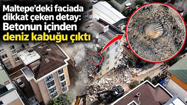 Maltepe’deki faciada dikkat çeken detay: Betonun içinden deniz kabuğu çıktı