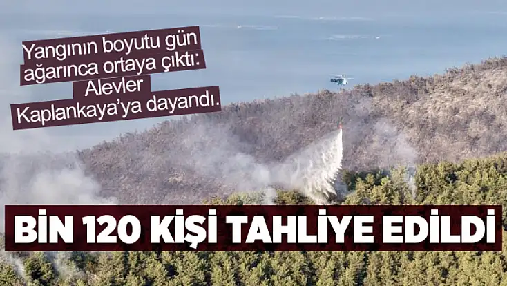 Milas'taki orman yangını Kaplankaya'ya ulaştı: Bin 120 kişi tahliye edildi