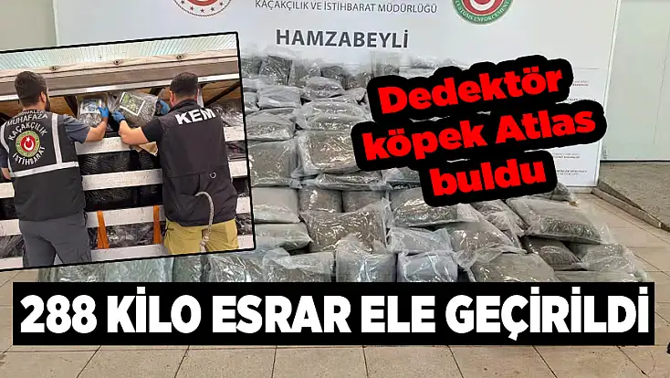 Yakalanmasa hepsi ülkeye sokulacaktı: 288 kilo esrar ele geçirildi