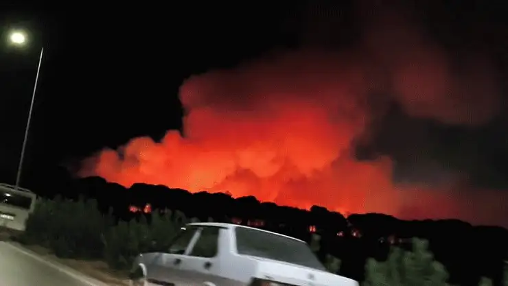 Antalya Aksu'da orman yangını
