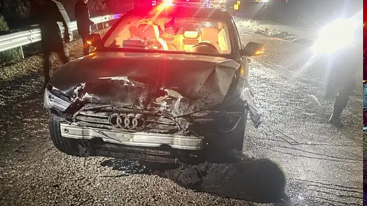 Belediye Başkanının makam aracı domuz sürüsüne çarptı: 12 domuz telef oldu