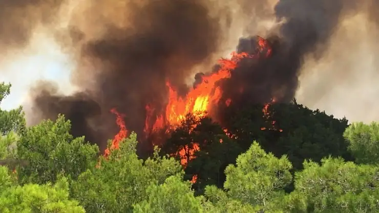 Bilecik ve İzmir'de afet bölgesi kararı