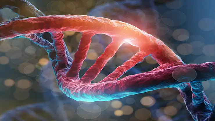 BioNTech'ten meme kanseri tedavisinde umut veren gelişme