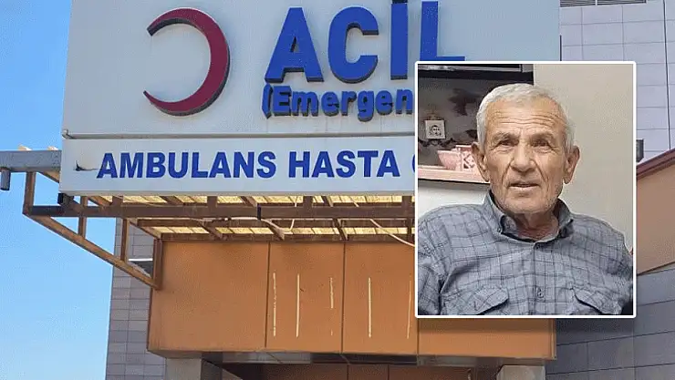Evinin bahçesinde ağaç kesmeye çalışan adam feci şekilde can verdi