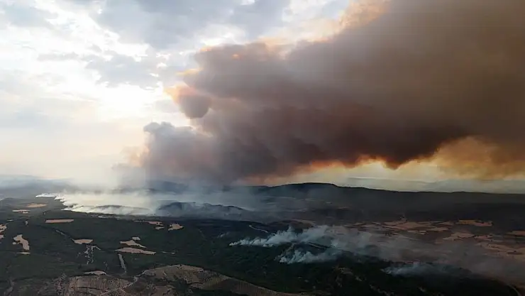 Gelibolu'daki orman yangınına havadan ve karadan yoğun müdahale