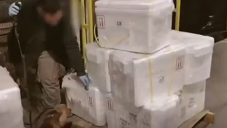Havalimanı'nda 455 Kilo uyuşturucu madde ele geçirildi