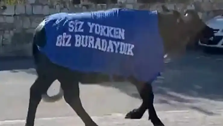 Mandalarla dikkat çeken protesto: Siz yokken biz buradaydık