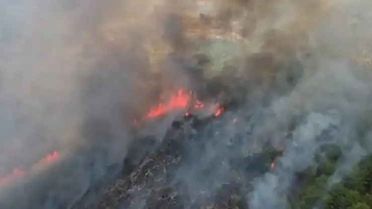 Muğla ve Adana'da orman yangınları