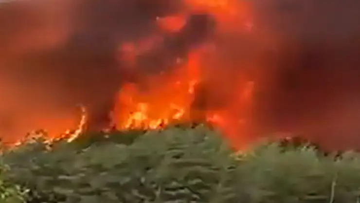 Orman yangınına müdahale eden 10 personel hayatını kaybetti