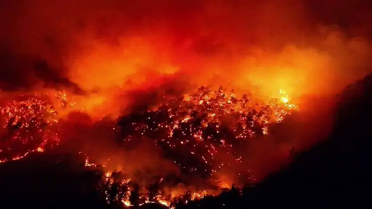 Orman yangınlarına ilişkin 7 gözaltı: 3 tutuklama