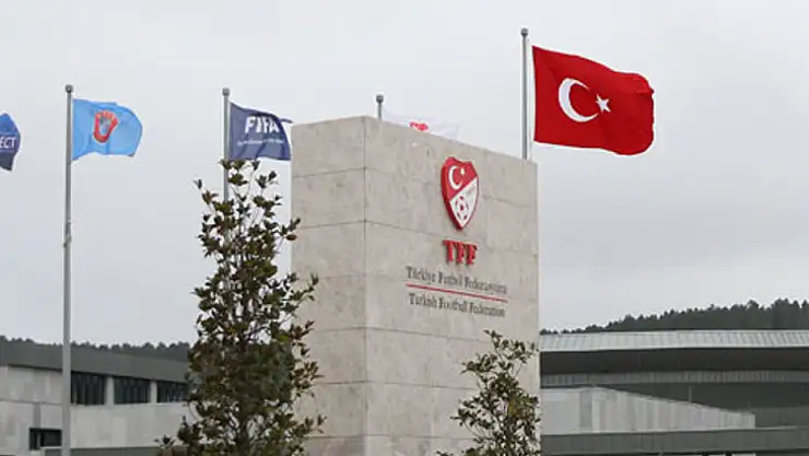 Profesyonel liglerde takım sayısı kademeli olarak azaltılacak