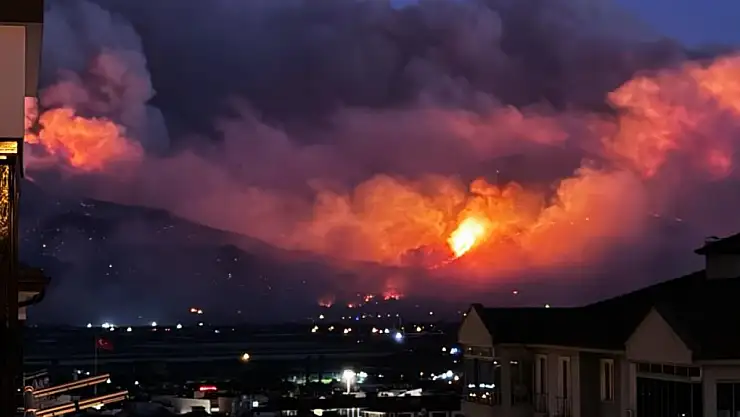 Sakarya ve Bilecik'te orman yangınları