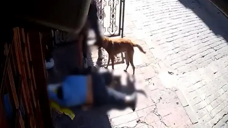 Sara nöbeti geçiren adamın telefonunu çalan vicdansızlar tutuklandı