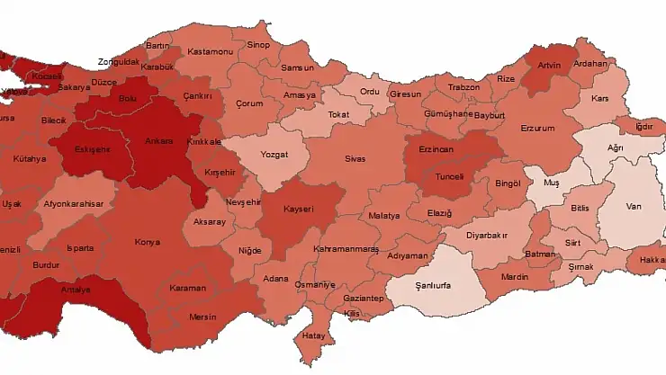 TÜİK, İl Bazlı Beşeri Kalkınma Endeksi verilerini açıkladı