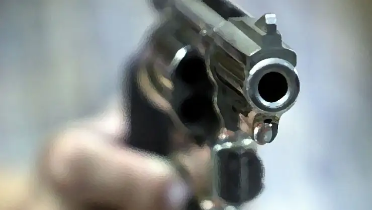 Türkiye'de ruhsatsız silah sayısı 30 milyonu aştı