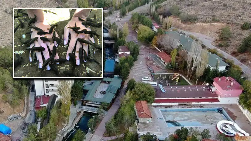 Doktor balıkların bulunduğu alan tabiat parkı ilan edildi