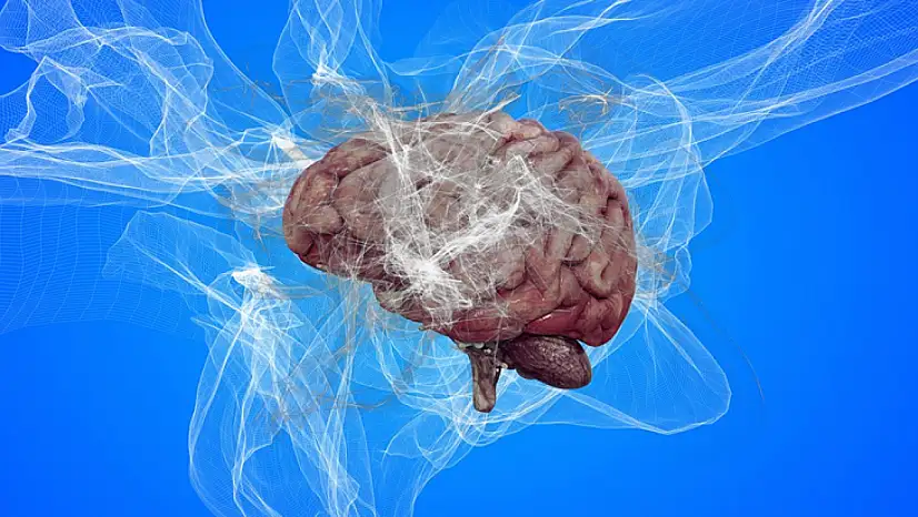 Erken tanı Alzheimer'ın ilerlemesini yavaşlatıyor