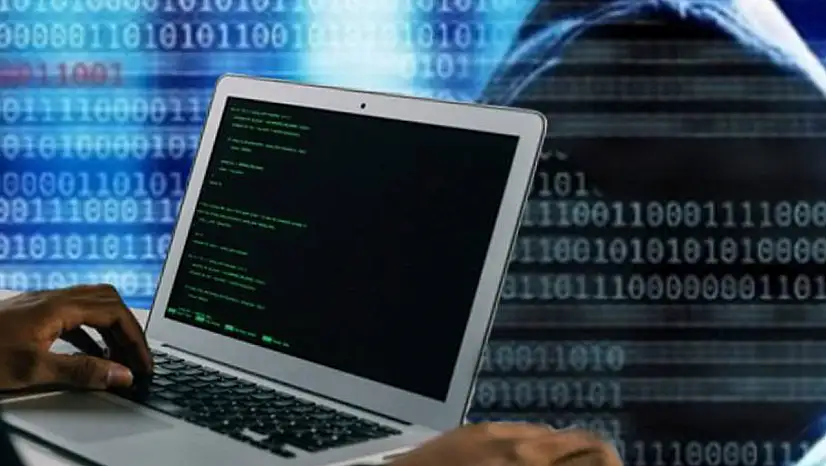 Forex dolandırıcılığı: 140 gözaltı