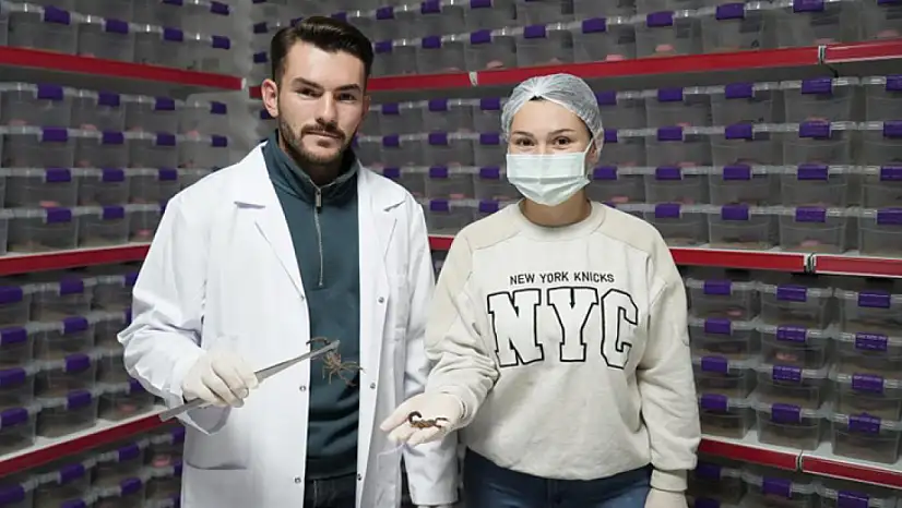 Genç girişimci akrep zehrini dünyaya ihraç ediyor