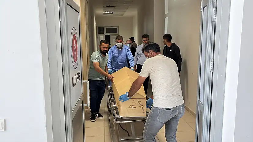 Kenenin ısırdığı kadın hayatını kaybetti