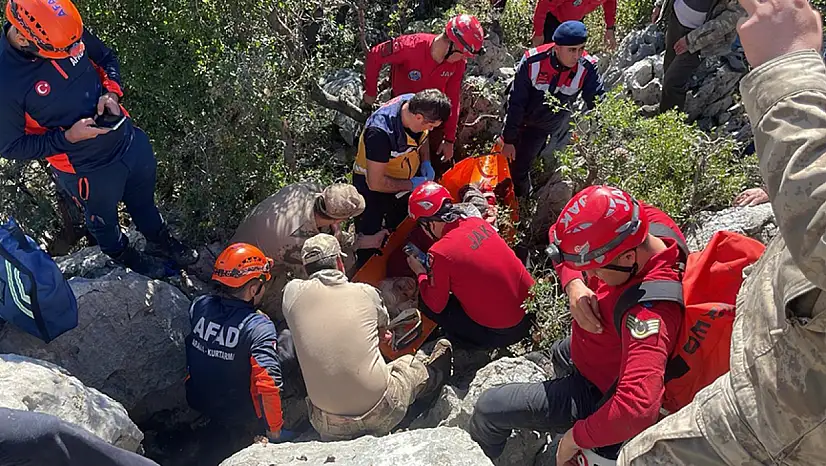 Koyunları otlatmak için çıktı, bir  gün sonra kayalıkların arasında bulundu