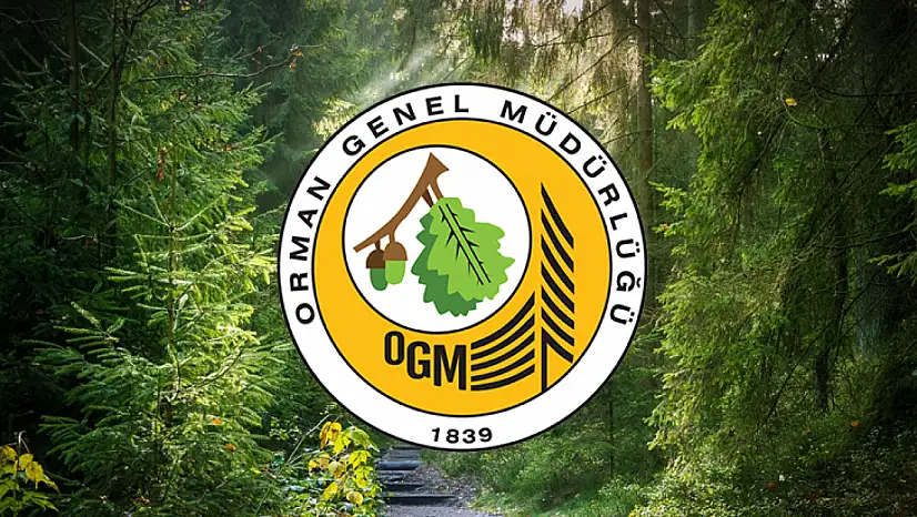 Orman Genel Müdürlüğü taşra teşkilatına 26 işçi alacak