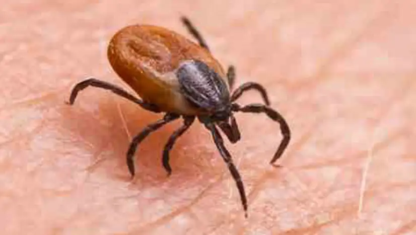 Sağlık Bakanlığı'ndan KKKA Uyarısı