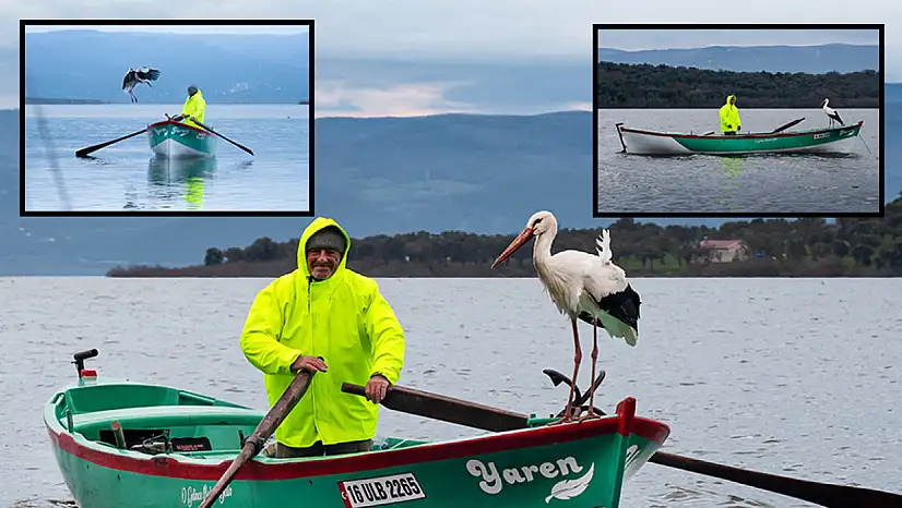 Yaren leylek ile Adem amca, bu yıl da bir araya geldi