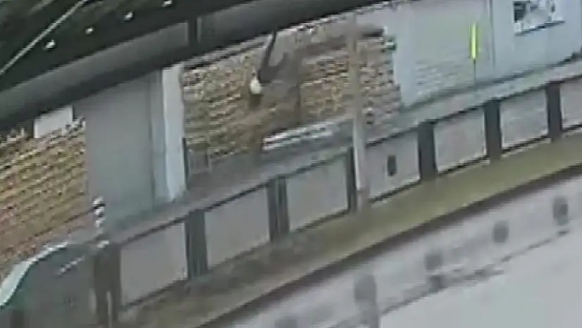 Yaya geçidinde feci kaza