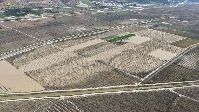 Yüzlerce dönüm şeftali ve armut bahçesi su altında kaldı