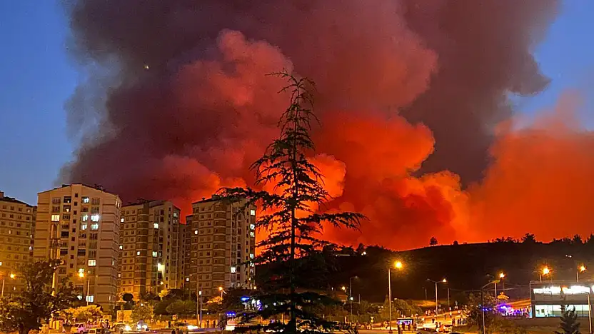 Ciğerlerimiz yanıyor