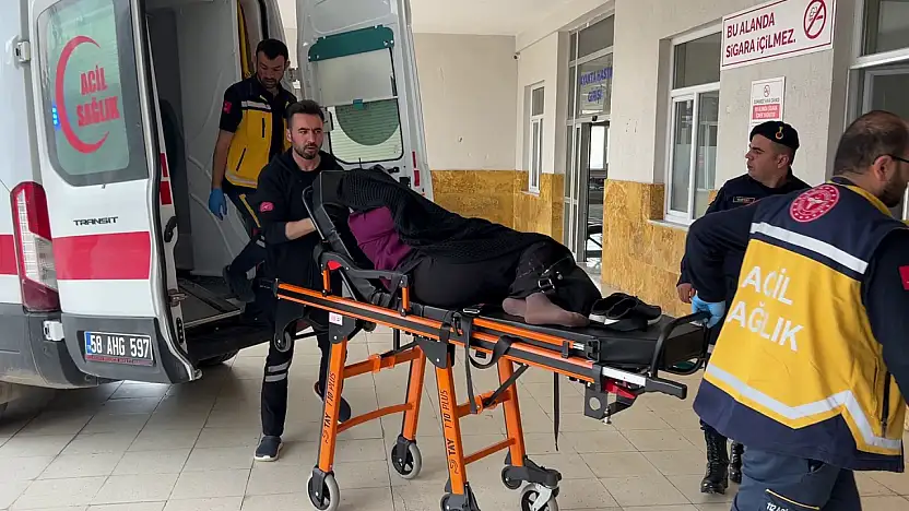 İnek bostana girdi, akrabalar birbirini öldürdü