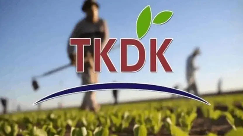 Kırsal kalkınma yatırımlarına yeni destek paketi: Hibeler Yüzde 70'e kadar çıkıyor