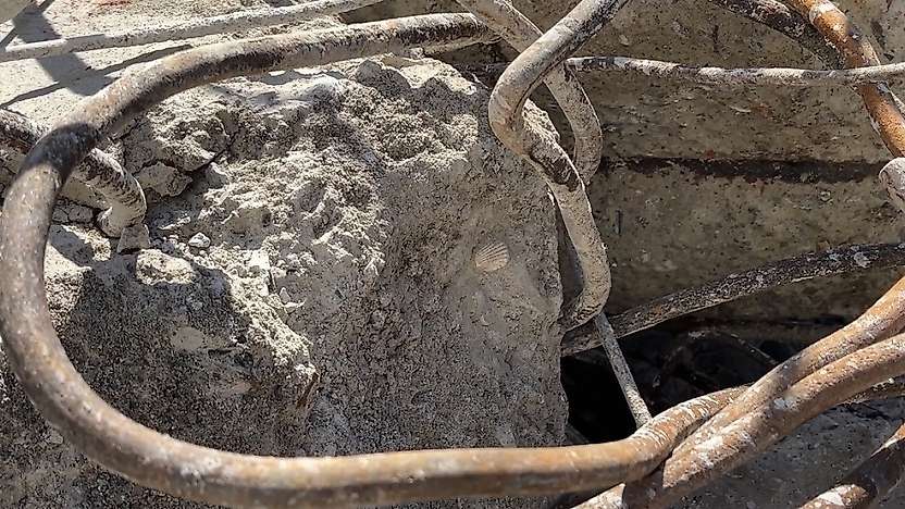 Maltepe'deki faciada dikkat çeken detay: Betonun içinden deniz kabuğu çıktı