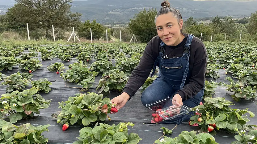Modelistlikten çiftçiliğe: Birsen Yıldız'ın tarım yolculuğu