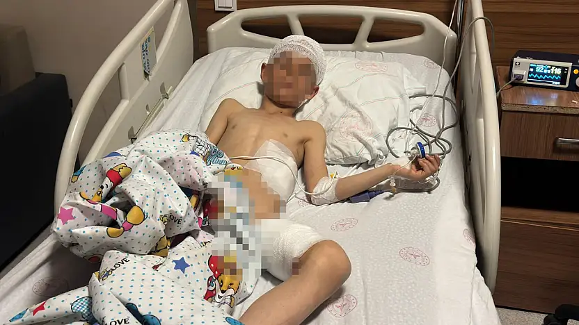 Van'da köpek dehşeti: 5 yaşındaki çocuk hayatını kaybetti, kuzeni yaralandı