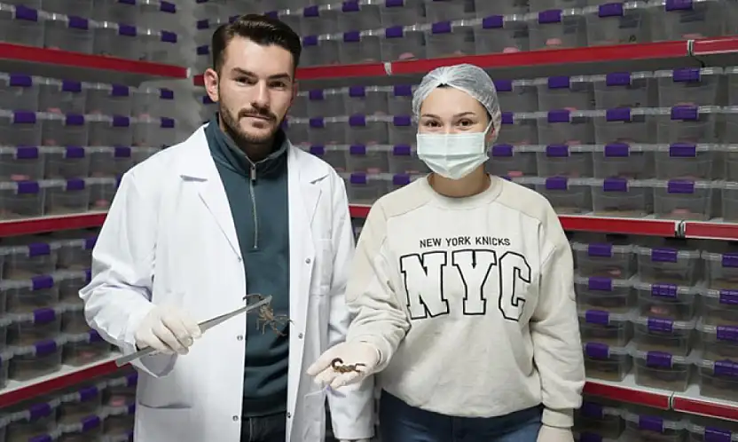 Genç girişimci akrep zehrini dünyaya ihraç ediyor