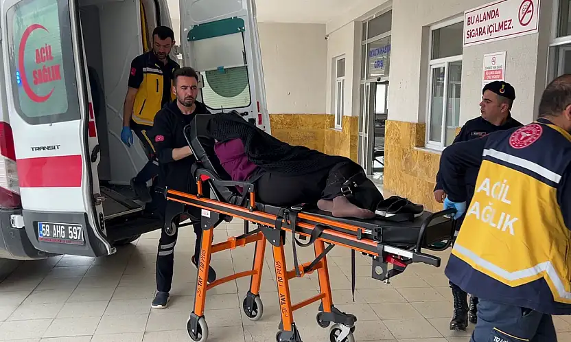İnek bostana girdi, akrabalar birbirini öldürdü