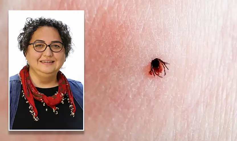 Keneler erken uyandı: Uzmanlar uyardı