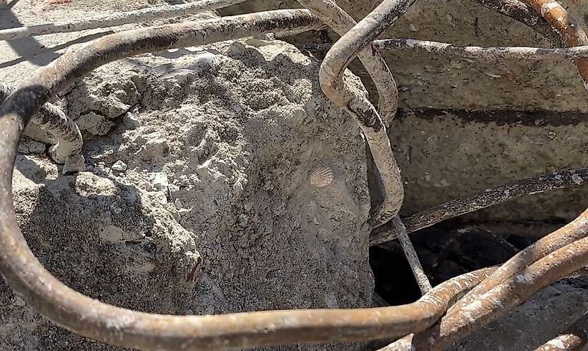 Maltepe'deki faciada dikkat çeken detay: Betonun içinden deniz kabuğu çıktı