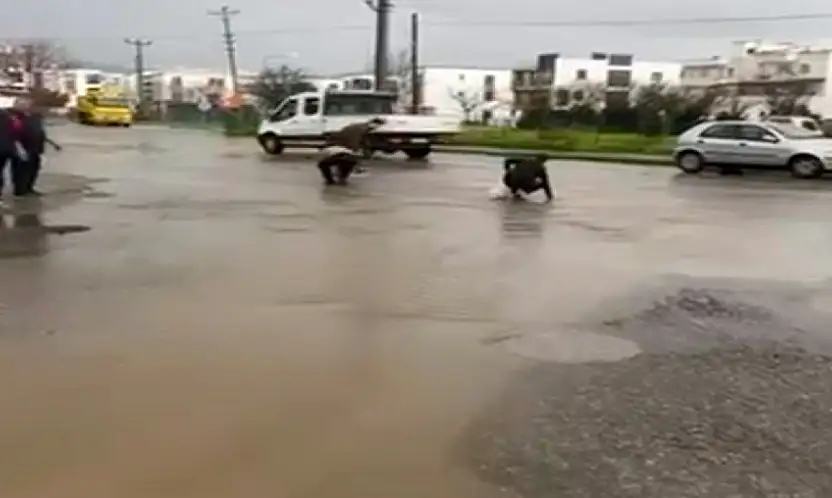 Sağanak Bodrum'u vurdu: Asfaltta balık yağdı, vatandaş eliyle topladı