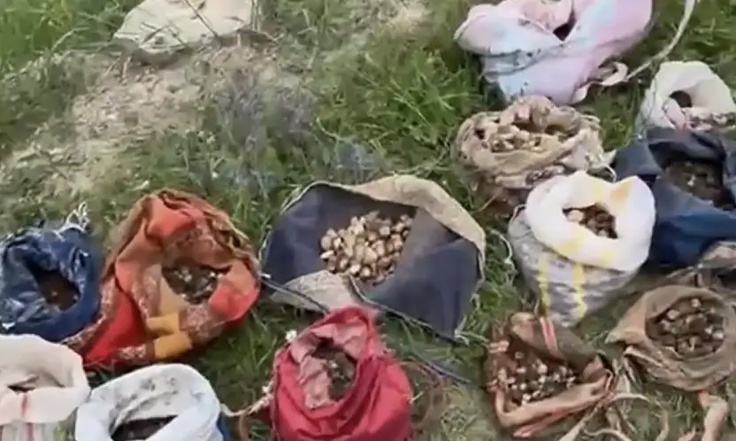 Yasak salebe ağır fatura: 6 milyon 992 bin TL ceza